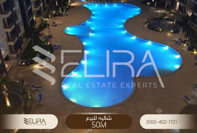 87206703 - Property Image 3