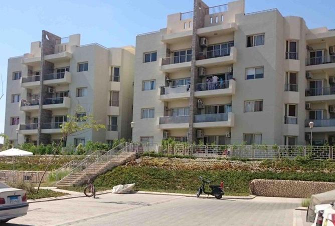 55751170 - Property Image 2