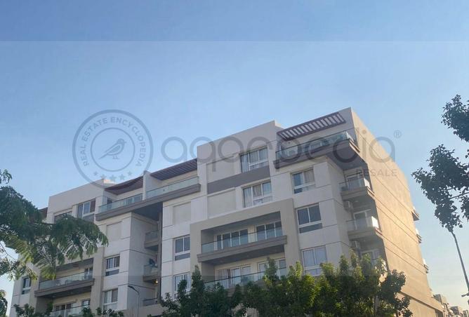 107134215 - Property Image 2