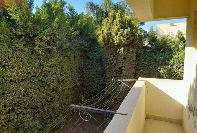 52455517 - صورة العقار 3