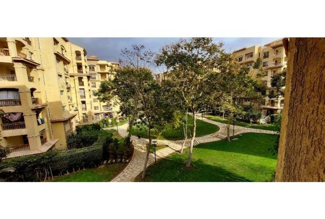 95186295 - صورة العقار 2
