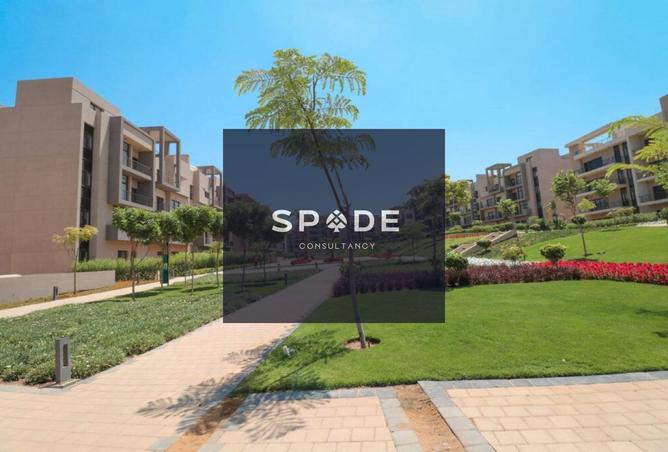 8598465 - Property Image 3