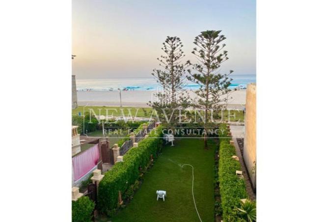 102058883 - صورة العقار 2