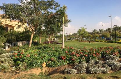 Villa - 3 - 3 for rent in Privado - Madinaty - Cairo