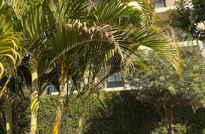Apartment - 3 Bedrooms - 3 Bathrooms for sale in Fifth Square - The 5th Settlement - New Cairo City - Cairo