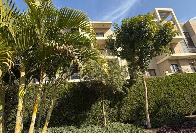 68529899 - Property Image 2