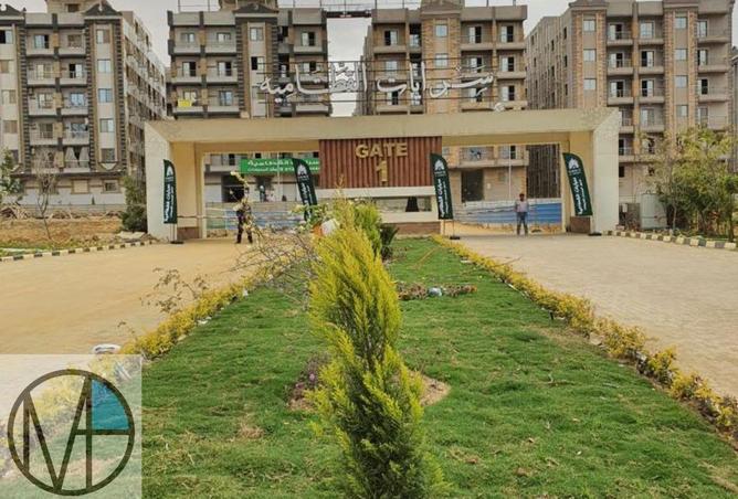 55753311 - Property Image 2