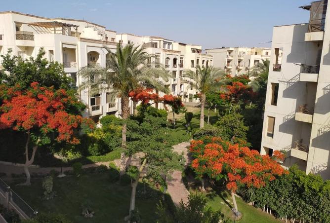 8488262 - صورة العقار 3