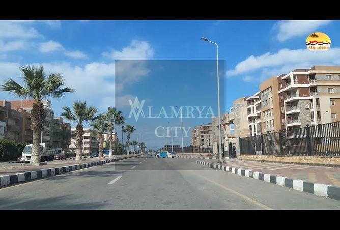 8481777 - Property Image 3