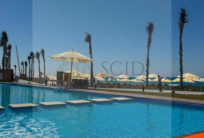 102079862 - Property Image 3