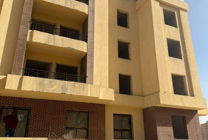 55498335 - Property Image 3