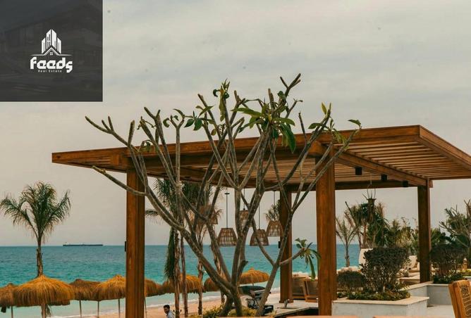 80265294 - صورة العقار 3