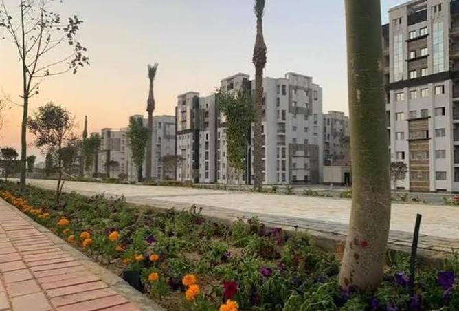 91863444 - الصورة الرئيسية للعقار
