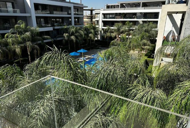 59487012 - Property Image 2