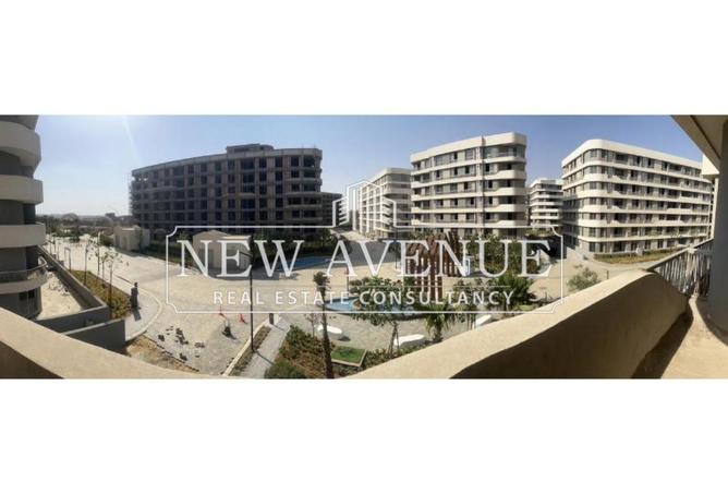 66173532 - Property Image 2