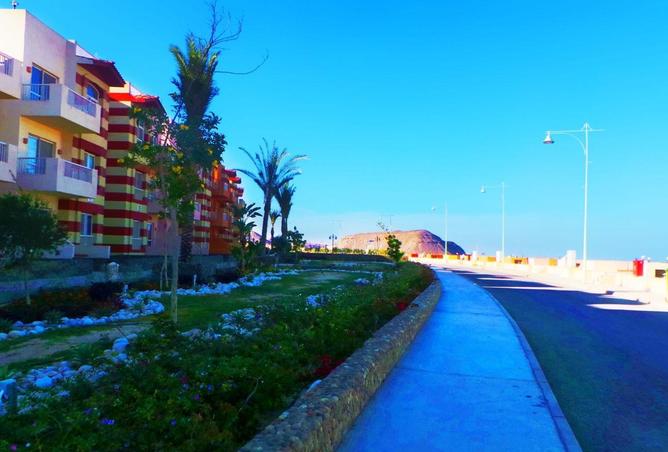 66966719 - صورة العقار 3