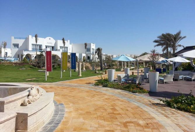 62412737 - صورة العقار 3