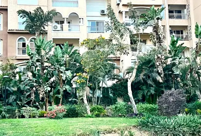 111018459 - صورة العقار 3