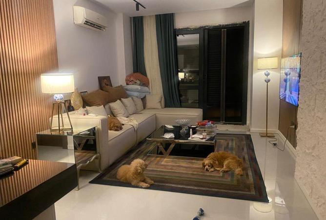 57494019 - Property Image 2