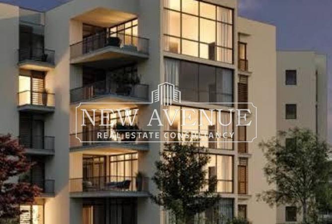 52183993 - Property Image 3