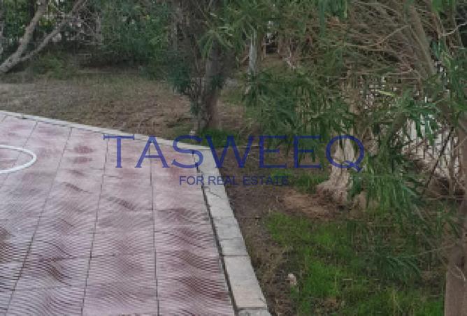 67737779 - Property Image 3