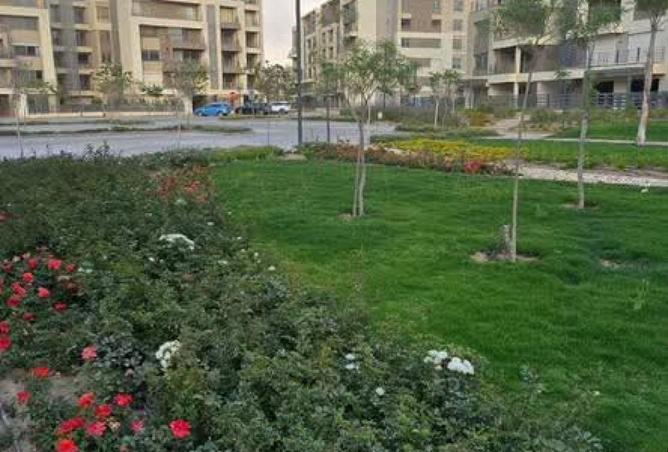 98003671 - صورة العقار 2