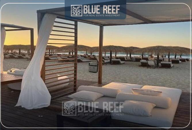 67476047 - صورة العقار 3