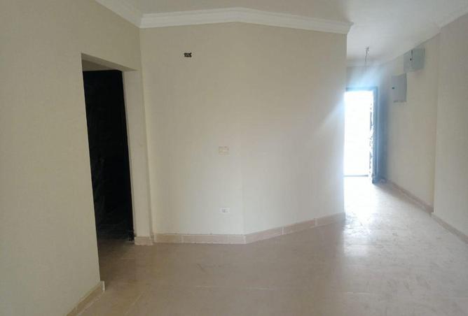 66431174 - Property Main Image