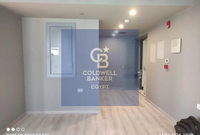116745168 - Property Image 3