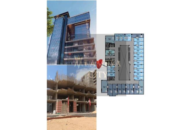 56991491 - Property Image 3