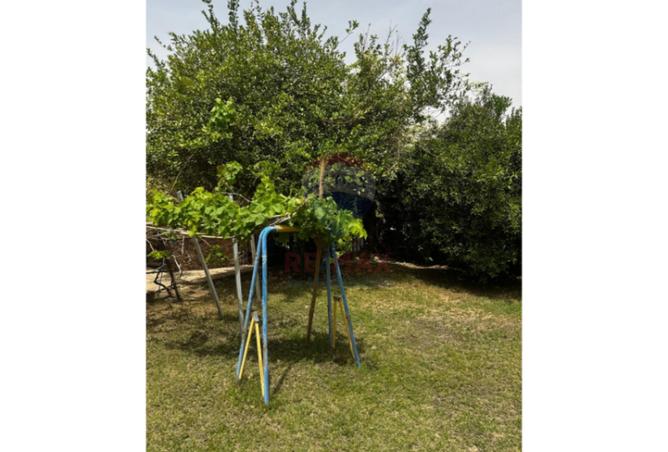 62645774 - صورة العقار 3