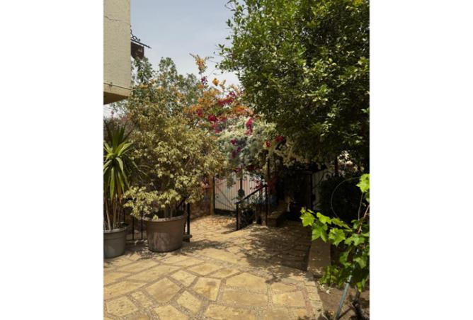 62645774 - صورة العقار 2