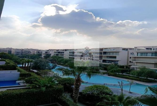 56242410 - Property Image 2