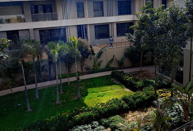 55503538 - Property Main Image