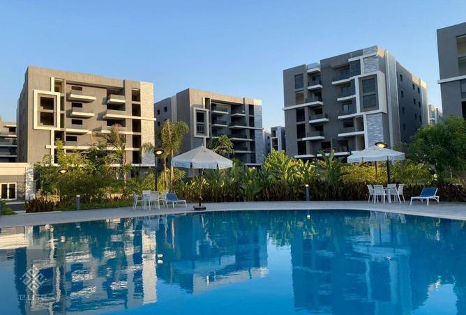 8617431 - Property Image 3