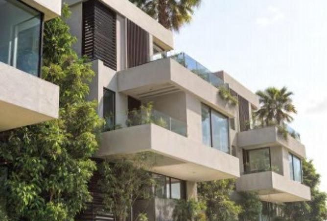 8666319 - Property Image 3