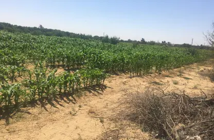 مزرعة - استوديو للبيع في وادي النطرون - البحيرة