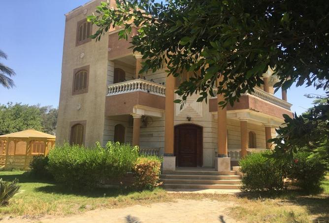 52198565 - صورة العقار 2