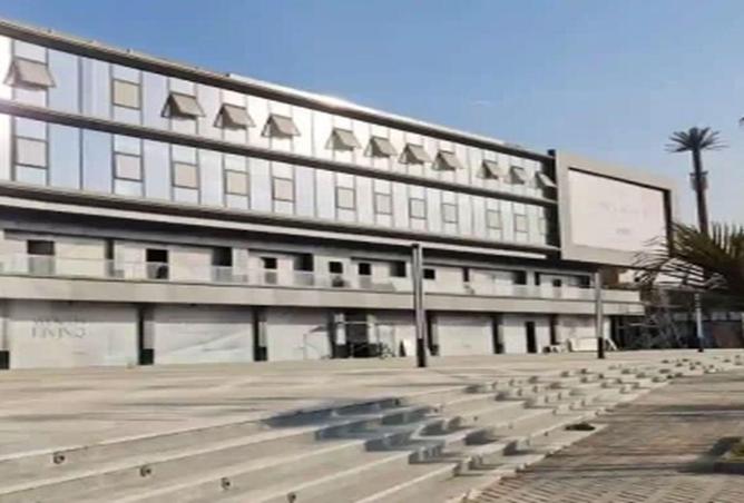 55745924 - Property Image 3