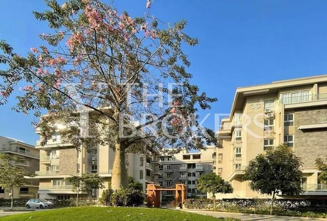 57993733 - صورة العقار 2