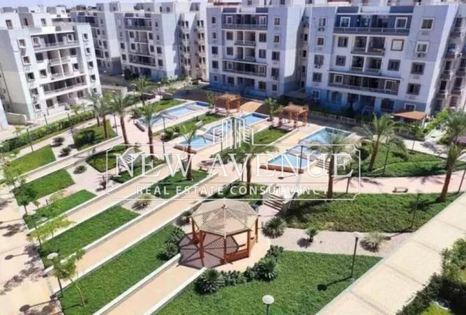 53990151 - Property Image 3