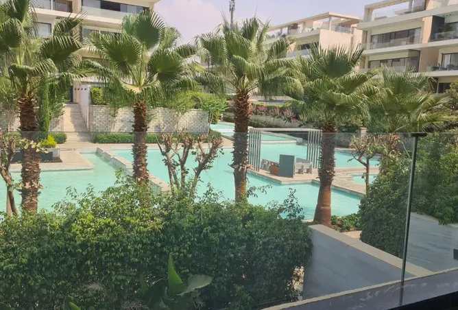 101498472 - Property Image 2