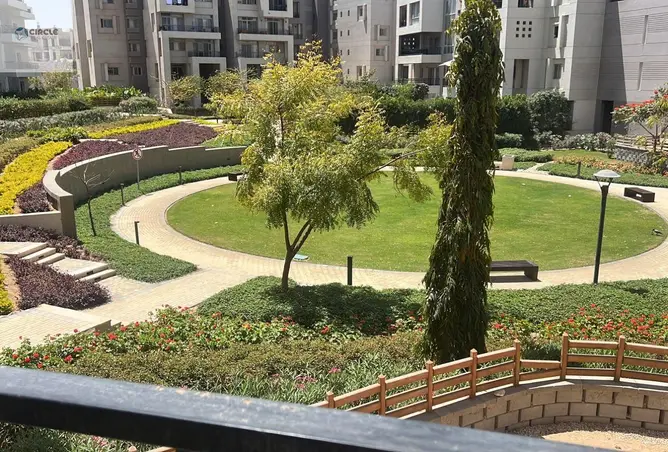 111317202 - صورة العقار 2