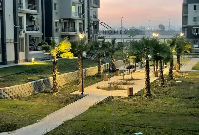 117524717 - صورة العقار 3
