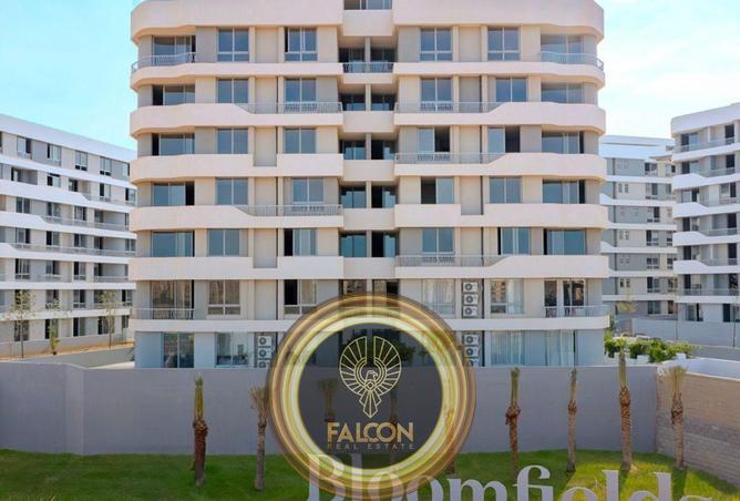 61691399 - Property Image 3