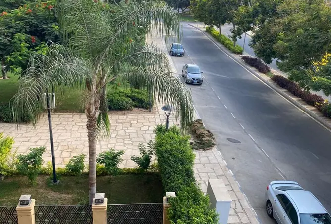 117281381 - صورة العقار 3