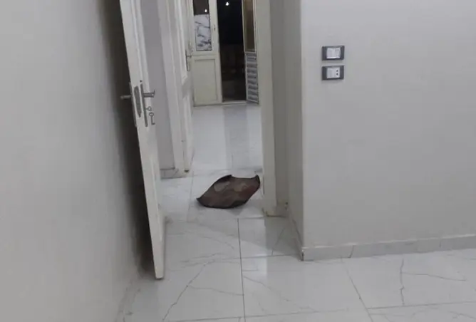 97436024 - صورة العقار 3