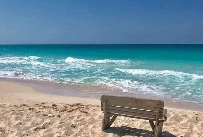 62610443 - صورة العقار 3