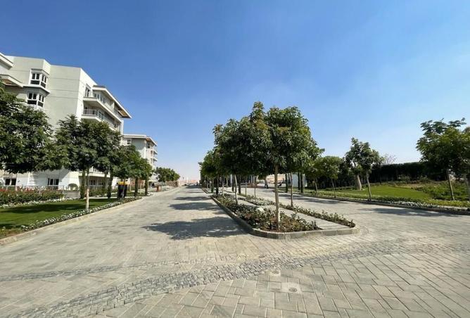 107130118 - Property Image 3