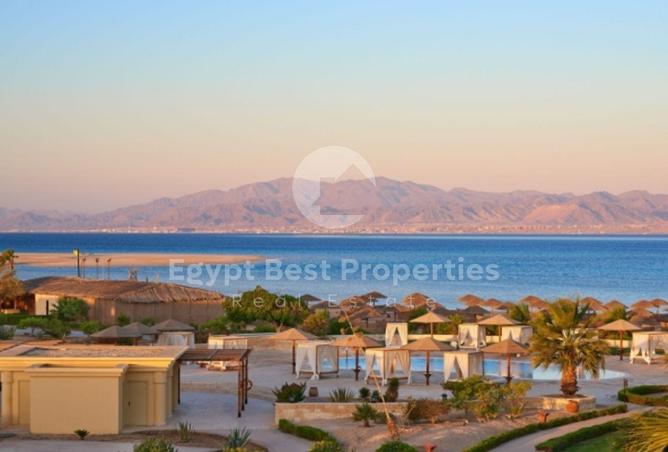 63134003 - صورة العقار 3